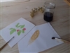 Taller: Pintura amb pigments naturals