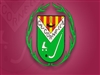 CE Cornellà Vs Maises Brutega / Sènior/ 2a Catalana / Hoquei / Fed