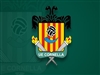 UE Cornellà vs UE Llagostera A / Amateur masculí / Segona divisió B / Futbol federat