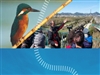 Visita guiada al riu Llobregat – Cercant papallones i altres invertebrats