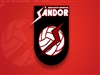AE Sandor "A" Vs FC Castellar / Juvenil Masculí / Primera Divisió / Volei / Federat