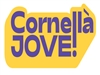 Activitats Joves d’estiu: Volei