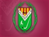 CE Cornellà Vs Congres / Sènior / Primera Catalana / Hoquei / Fed