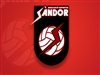 AE Sandor Vs Gelida / Sènior Masculí / Segona Divisió / Volei / Fed
