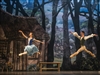 Giselle. Ballet de Barcelona