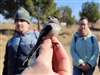 Jugateca: 8è Bioblitz Metropolità. Ciència ciutadana