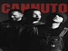 Cannuto