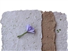 BiblioLAB: Fem paper reciclat
