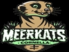 Torneig Cornellà Summer League