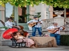 FESTIVAL DANSAFOLK. Havaneres. Americanus (Malgrat de Mar-El Maresme)