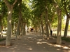 Jugateca: Itinerari botànic pel jardí històric